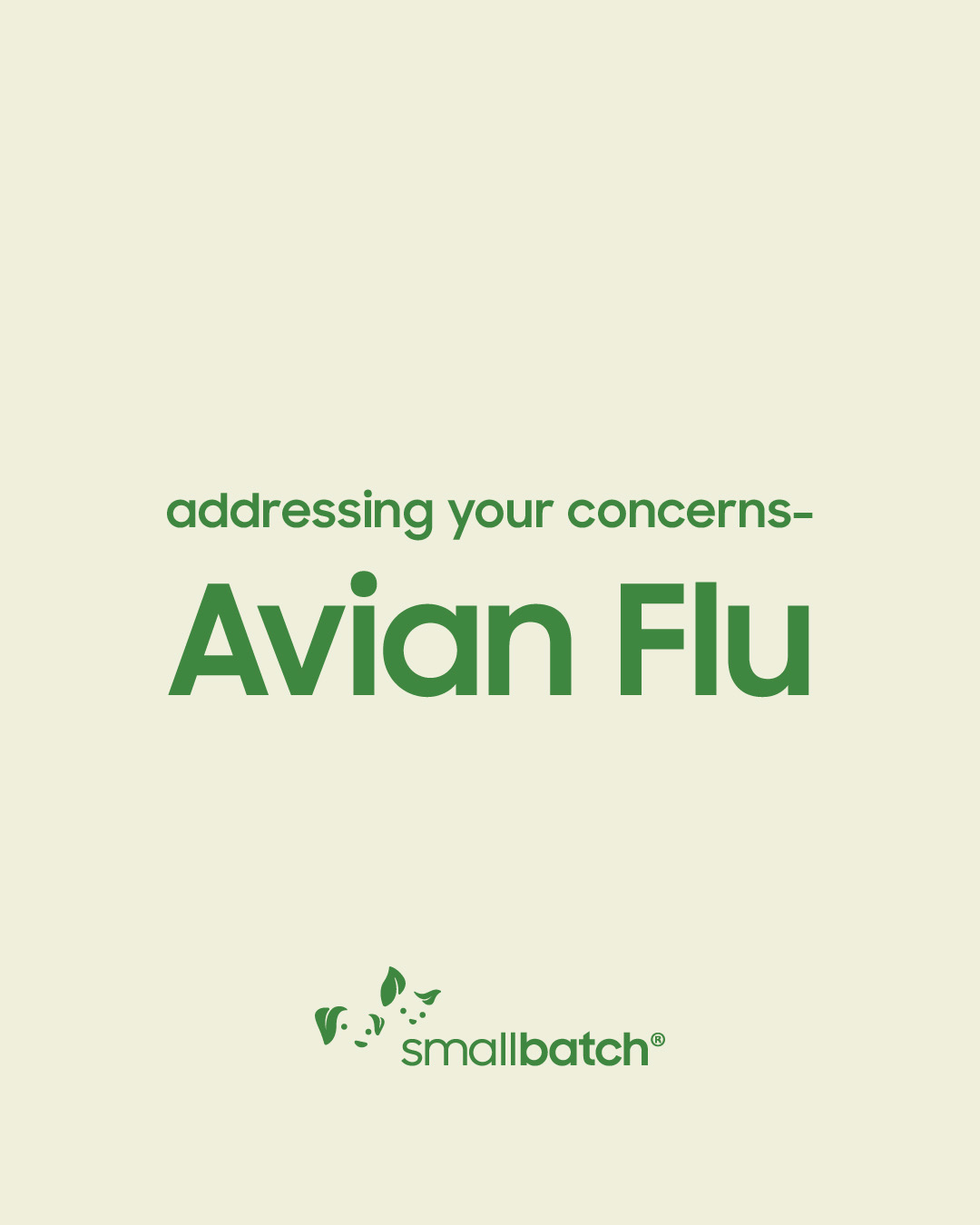 thumbnail_250303_SB_Social_Avian Flu 2.jpg