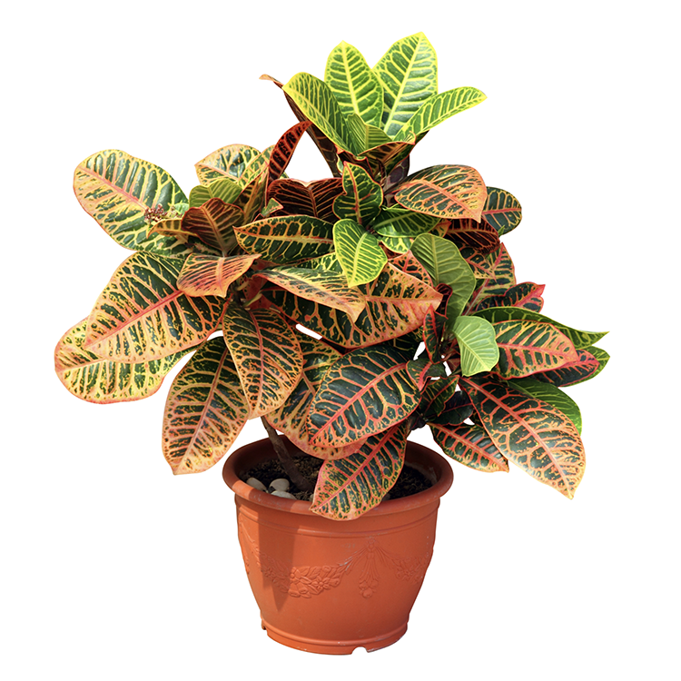 Asset 9_September.png