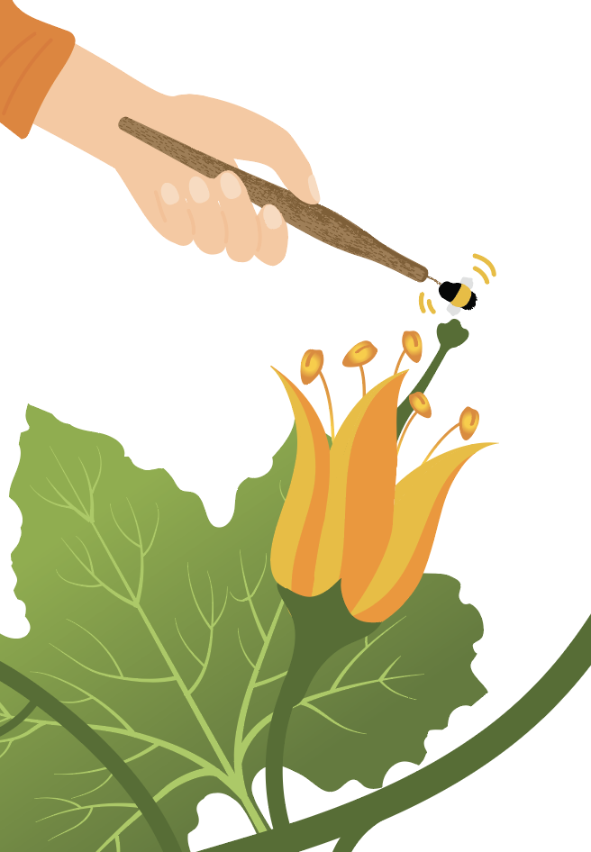 Screenshot 2024-06-04 at 3.29.34 PM.png