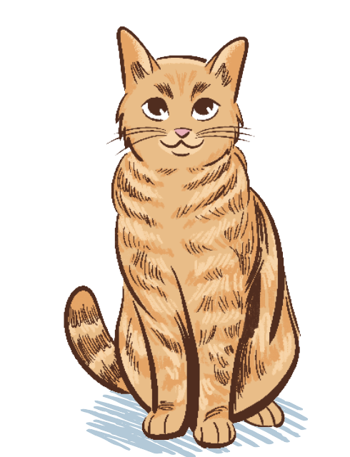 Screenshot 2024-06-03 at 12.41.13 PM.png