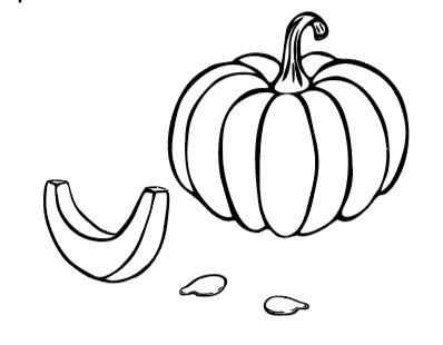 Screenshot 2024-06-03 at 10.59.04 AM.png