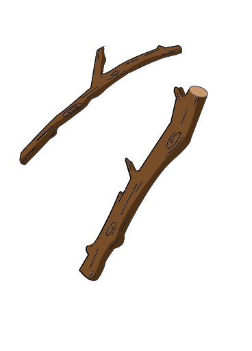 Screenshot 2024-06-04 at 9.24.58 AM.png