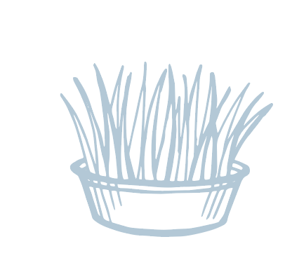 Screenshot 2024-06-03 at 12.41.48 PM.png