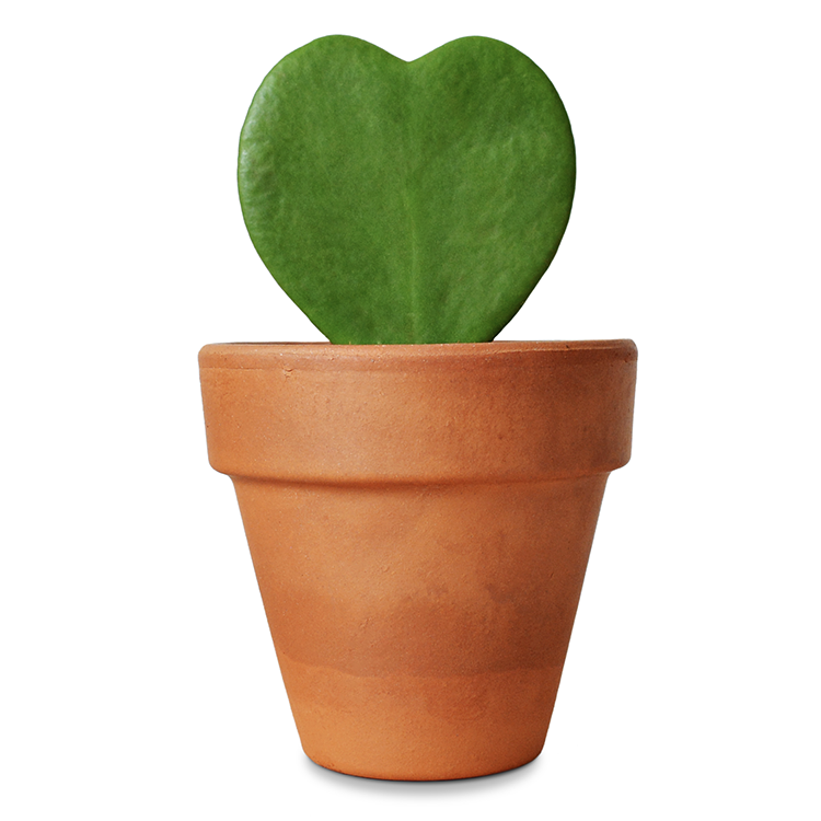 Asset 2_February.png