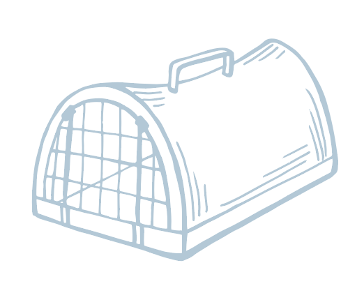 Screenshot 2024-06-03 at 12.41.26 PM.png