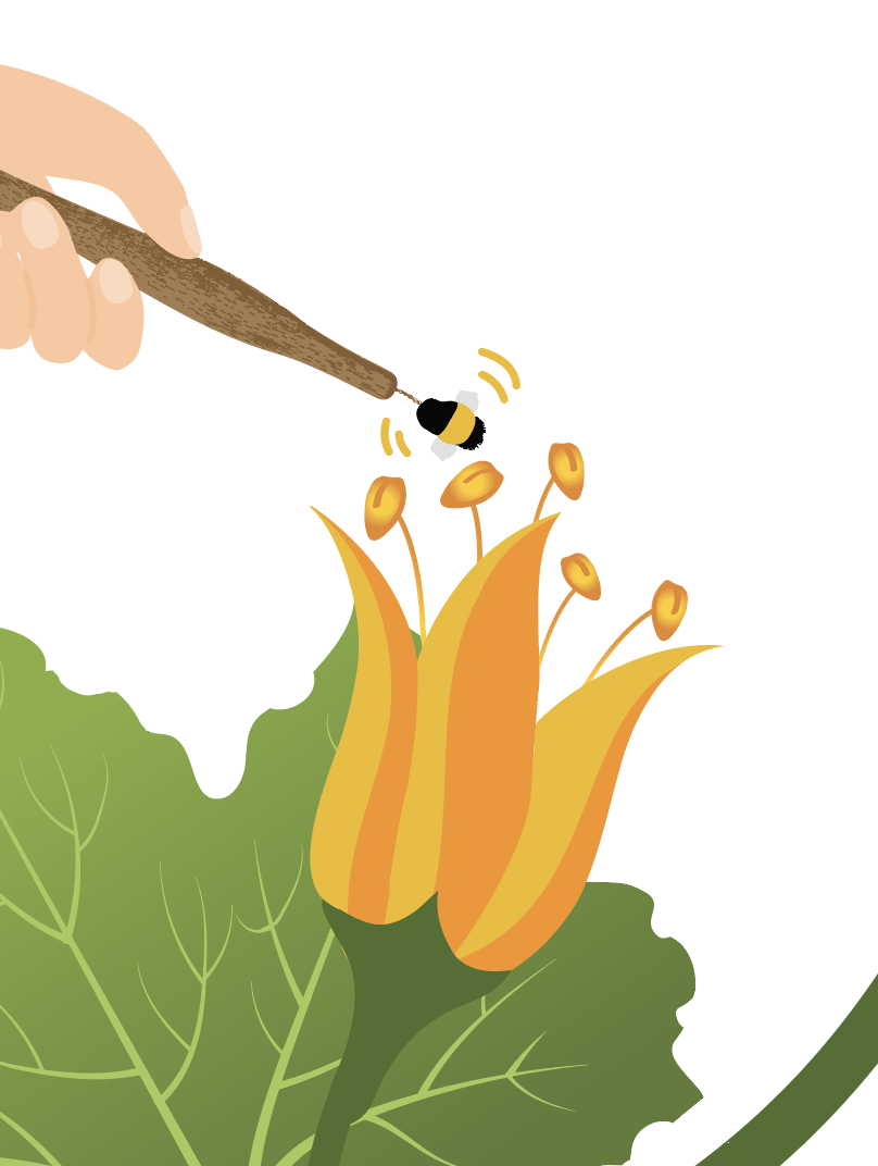 Screenshot 2024-06-04 at 12.09.56 PM.png