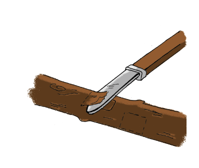 Screenshot 2024-06-04 at 9.26.34 AM.png