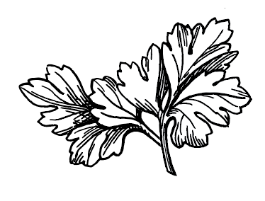 Screenshot 2024-06-03 at 10.57.45 AM.png