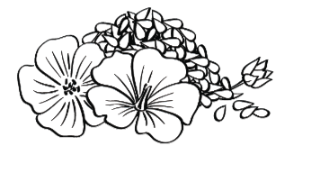 Screenshot 2024-06-03 at 10.58.57 AM.png