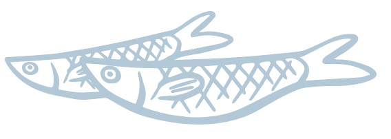 Screenshot 2024-06-03 at 1.06.22 PM.png