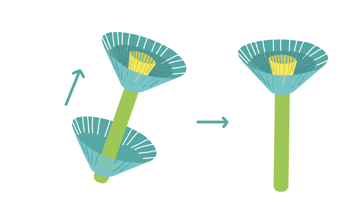 Screenshot 2024-06-03 at 5.43.51 PM.png