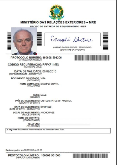 brazil tourist visa application form online